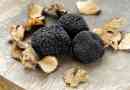 Truffles को कैसे संरक्षित करें