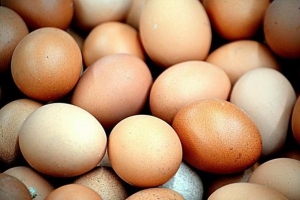 सबसे मूल एगशेल क्राफ्ट विचारों में से 5