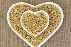 कैसे पकाने के लिए Kamut