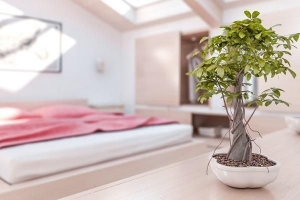 एक बेडरूम फेंग शुई शैली को कैसे सजाने के लिए
