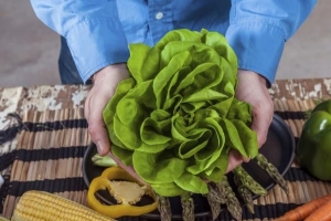 घर पर घर के अंदर लेट्यूस कैसे उगाएं