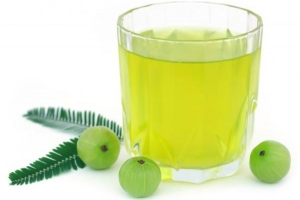 How to make आंवला जूस - आंवले का जूस बनाने की विधि