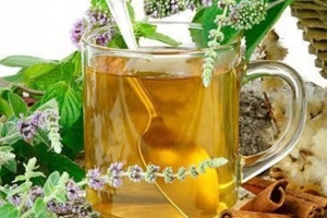 ऋषि का आसव कैसे तैयार करें