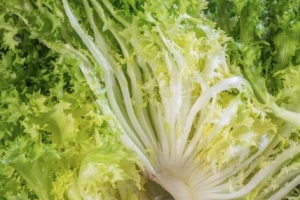 Escarole से कड़वाहट कैसे दूर करें