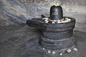 घर पर शिव लिंगम की पूजा कैसे करें