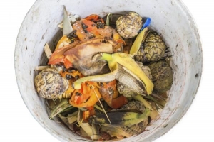 खाद के लिए सर्वश्रेष्ठ खाद्य स्क्रैप
