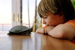 अस्थमा से पीड़ित बच्चों के लिए सबसे अच्छे पालतू जानवर कौन से हैं?