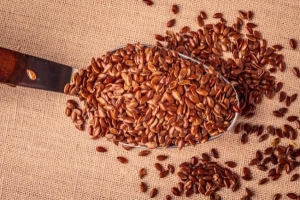 बुवाई से पहले बीजों का उपचार क्यों किया जाता है