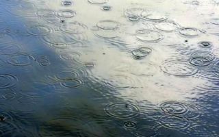 कैसे बताएं कि क्या बारिश होने वाली है